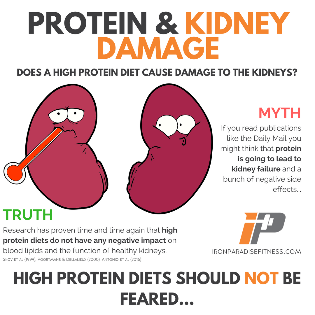 Protein Bars for Kidney Health Protein Bars