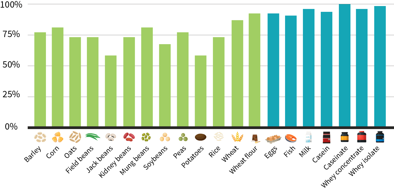 effects-of-eating-too-much-protein-protein-bars