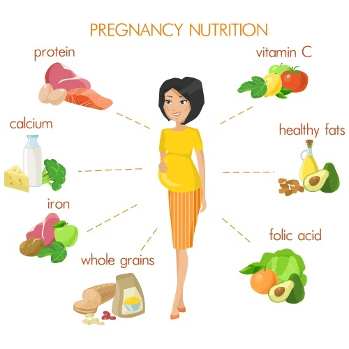 protein-bars-during-pregnancy-protein-bars