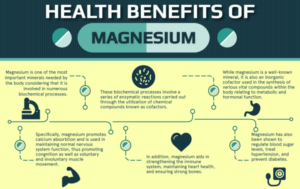 Is Magnesium or Iron more beneficial in a protein bar?