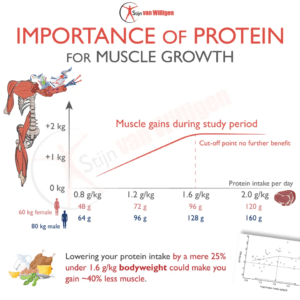 Protein Bars and Muscle Gain - Protein Bars Protein Bars and Muscle Gain