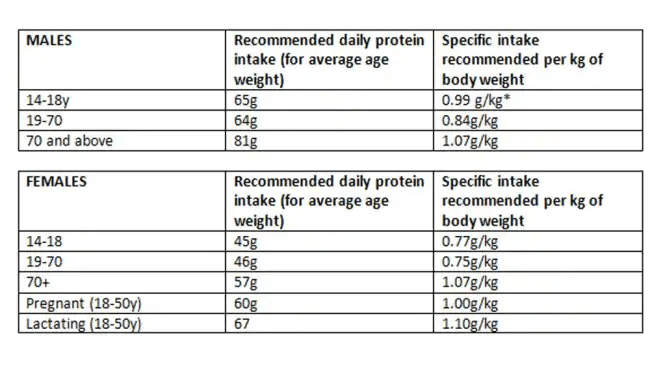 How To Calculate Your Protein Intake For Bodybuilding Protein Bars