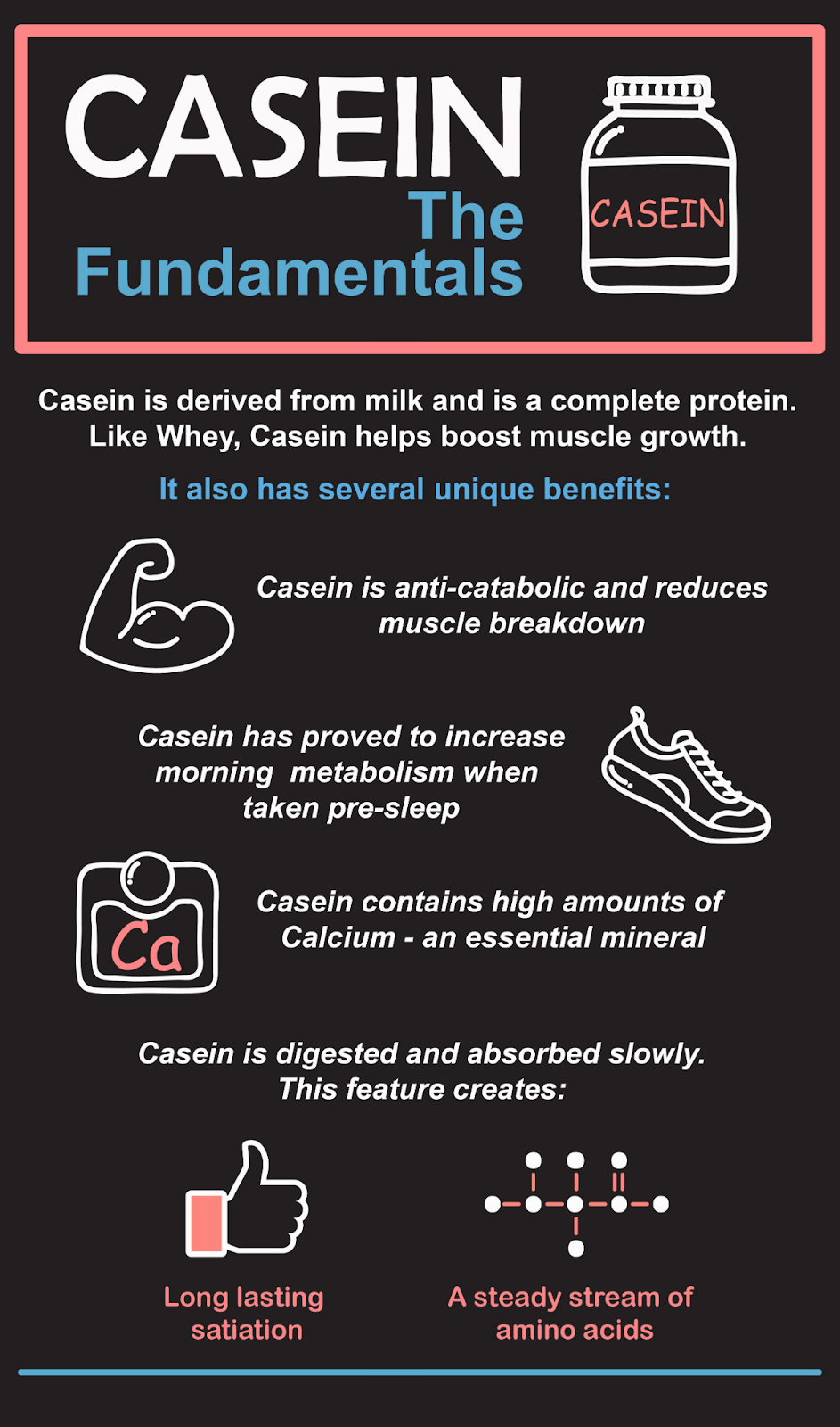 Casein Protein Bars - All You Need to Know - Protein Bars