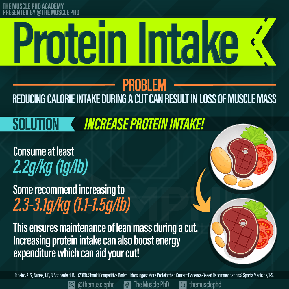 Protein Bar Basics For Bodybuilders Protein Bars