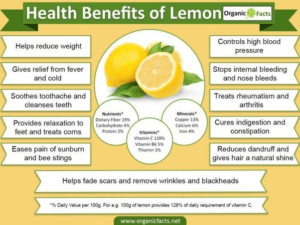 Benefits of Lemon Flavored Protein Bars