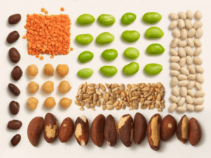 All Questions About Plant Protein, Answered
