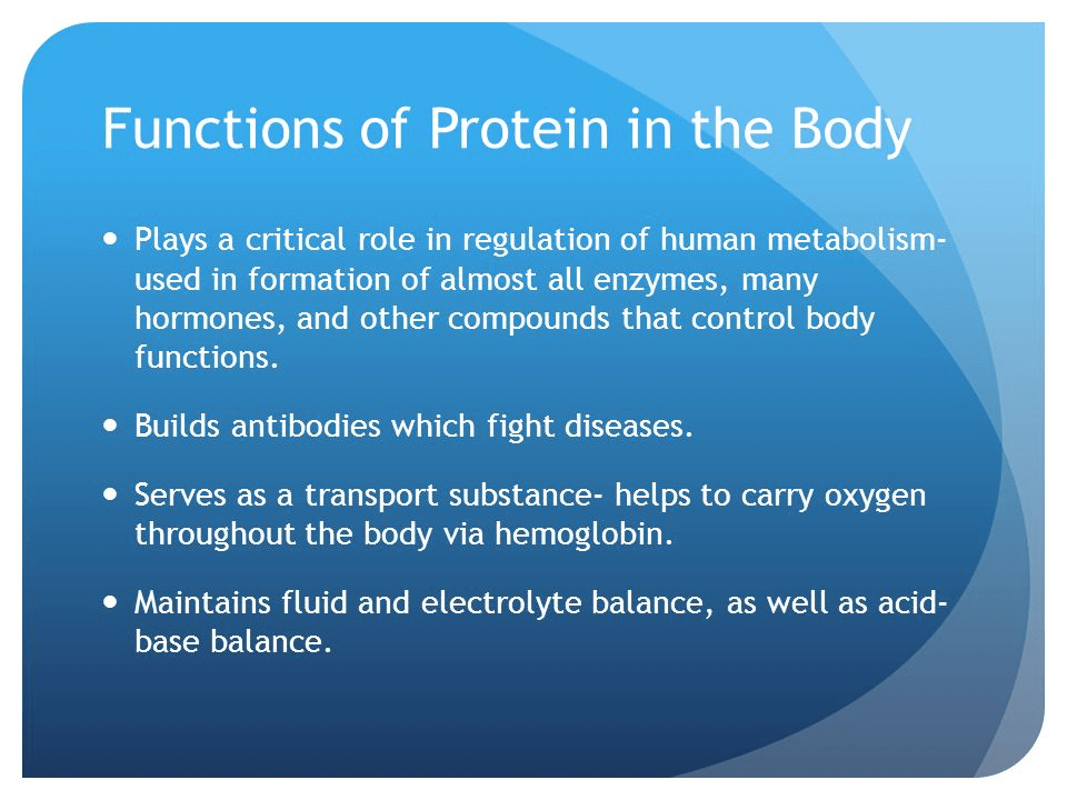 The Importance Of Protein For Endurance Athletes | Protein Bars