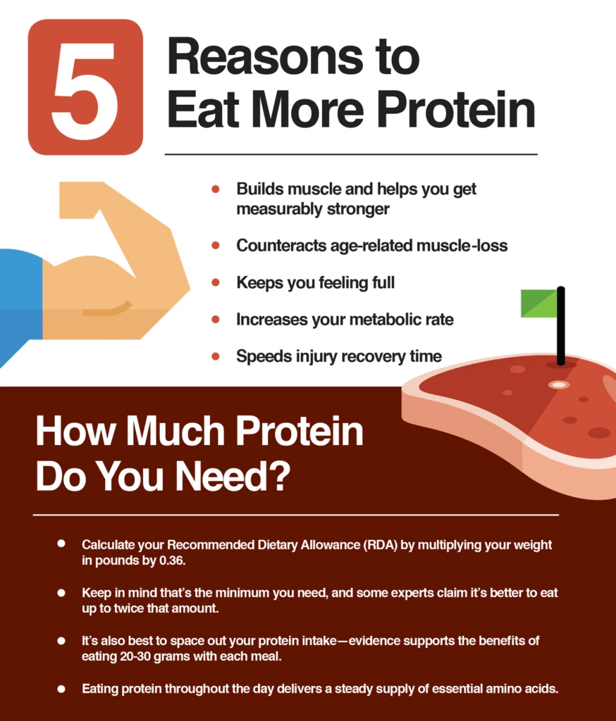 Why Is Eating High Amounts Of Protein Important For Bodybuilders Protein Bars 5411