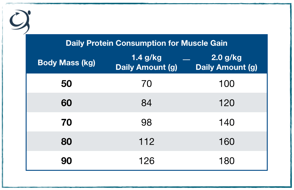 Why Is Eating High Amounts Of Protein Important For Bodybuilders