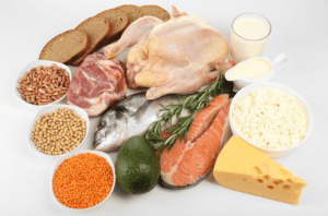 The Basics of Protein