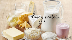 High Protein Dairy Snacks for Bodybuilders
