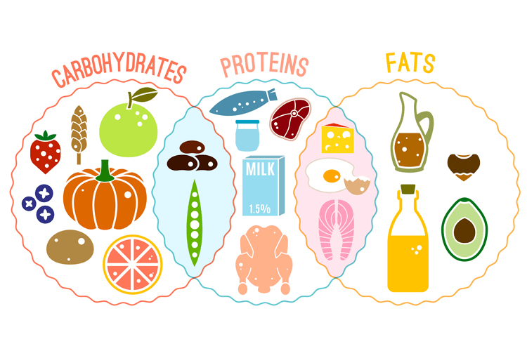 The Advantages of Proper Macronutrient Intake | Protein Bars