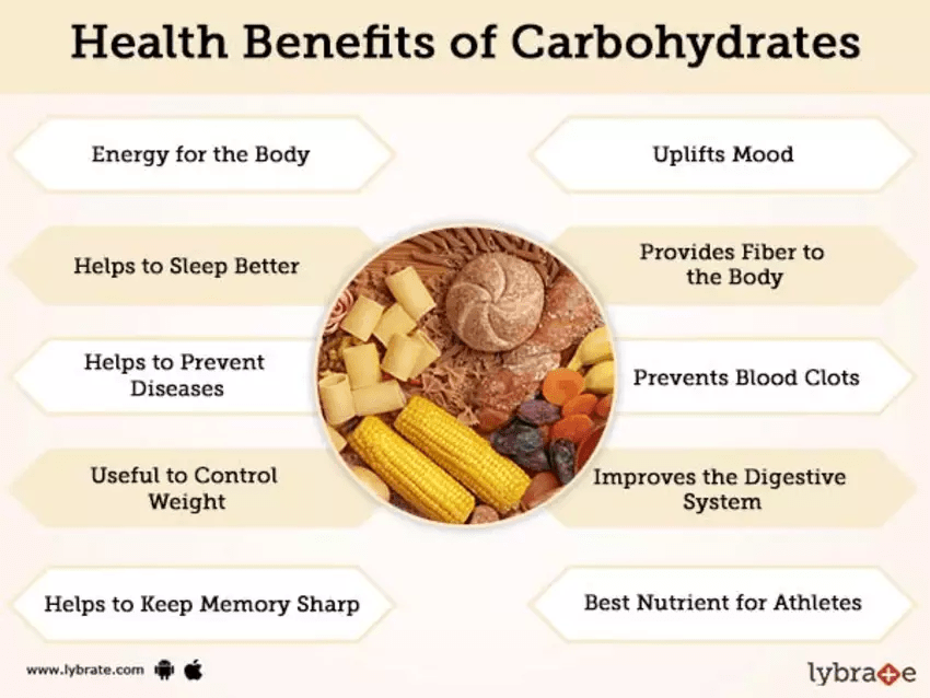 Carbohydrate Supplements Protein Bars 8437