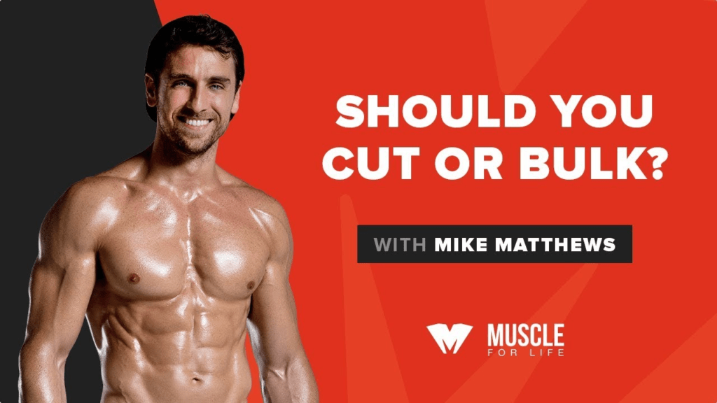 Bodybuilding Protein Bars for Bulking and Cutting Protein Bars