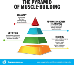 How Protein Supports a Bodybuilders Muscles - Protein Bars How Protein Supports a Bodybuilders Muscles
