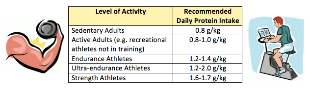 The Importance Of Protein For Endurance Athletes Protein Bars 