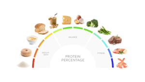 High Protein Diets for Bodybuilders