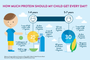 What Age Can Children Have Protein Shakes?