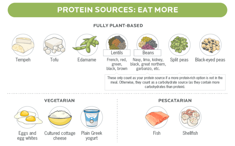 Plant Protein or Animal Based Protein for Kids | Protein Bars