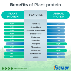 Plant Protein or Animal Based Protein for Kids