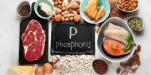How Much Phosphorus is Contained in Protein Bars?