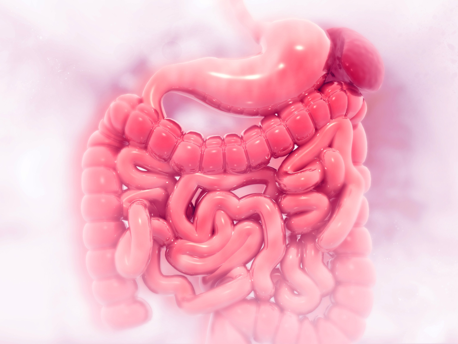 Relieving Constipation With Peach Protein Bars Protein Bars