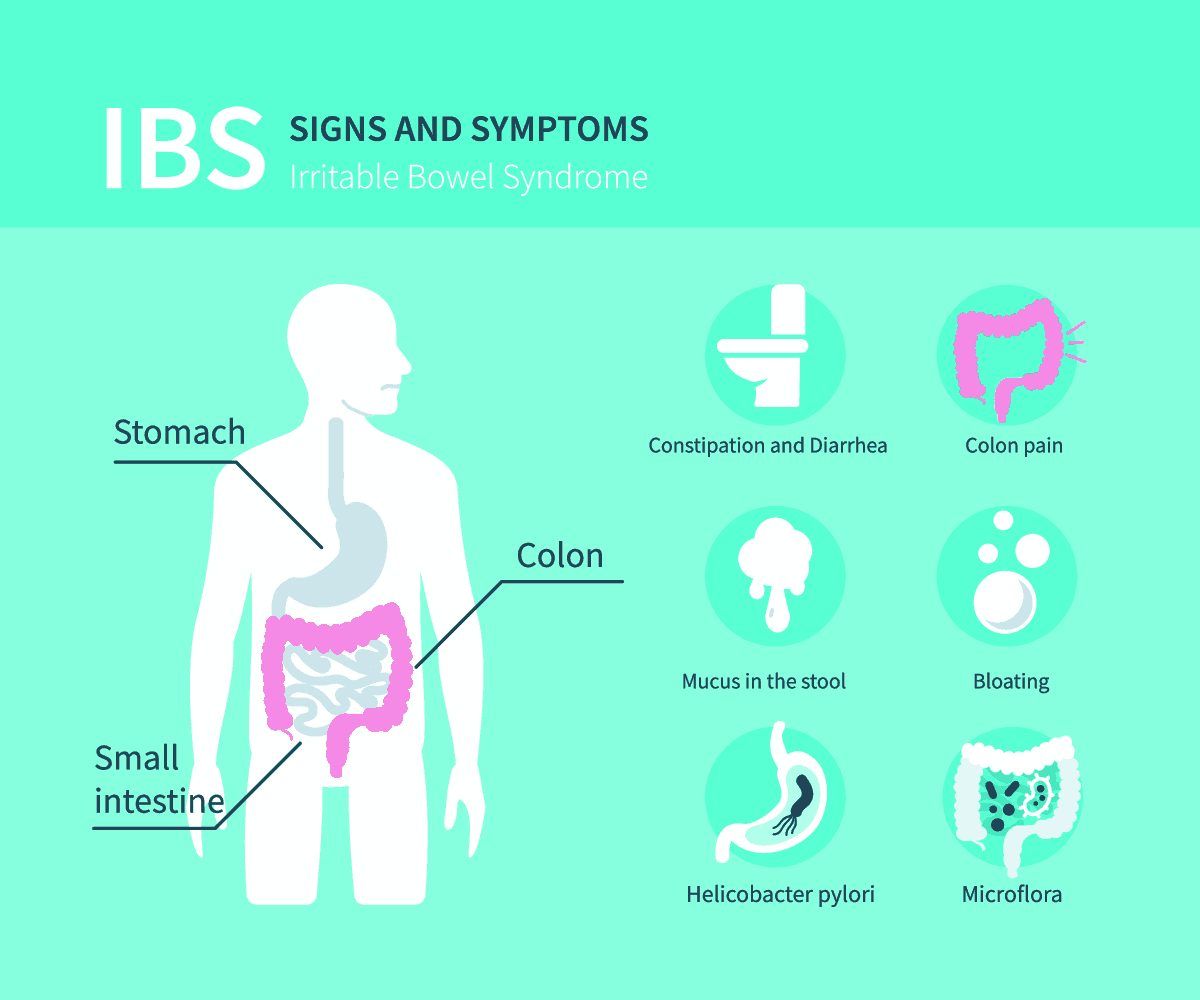 The Importance Of Protein For Irritable Bowel Syndrome - Protein Bars